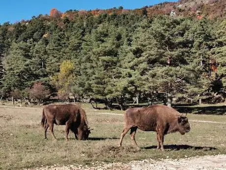 Photo de Réserve des Monts d'Azur