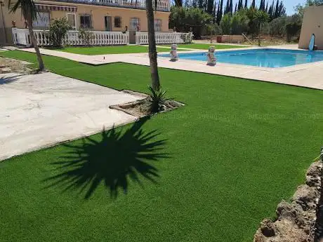 Photo de Milieu-garden
