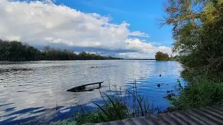 Photo de Observatoire à oiseaux