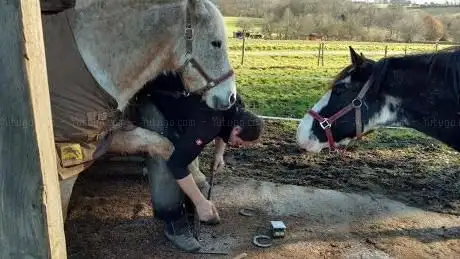 Photo de Estancia Criolla Windheim