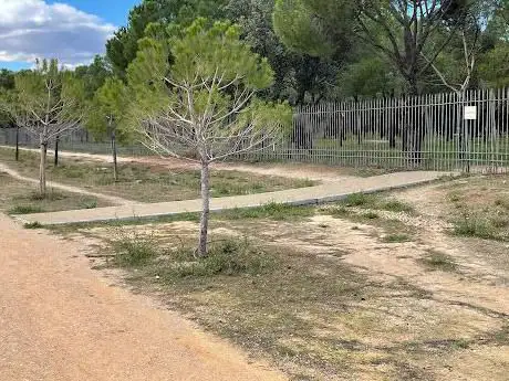 Photo de VÃ­a Pecuaria Cañada de la Carrera
