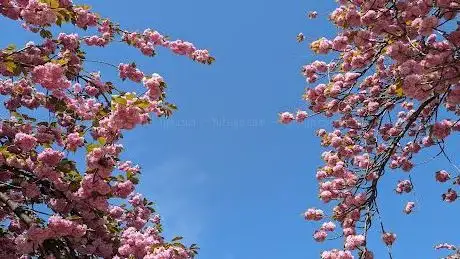 Photo of Jardin André Ulmann