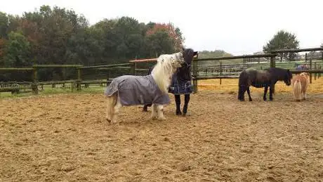 Photo de Aachener Reitsportcenter Gut Neuhaus