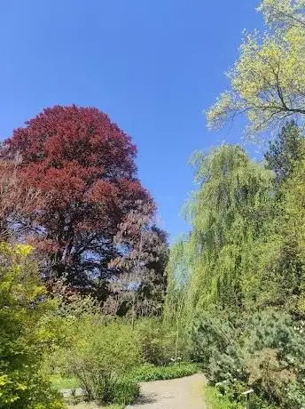 Photo of Arboretum Bílá Lhota