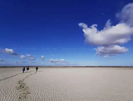 Photo de Olivier Noël - Guide en Baie de Somme