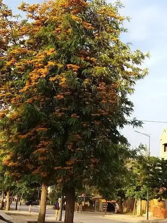 Photo de Oued Ifran