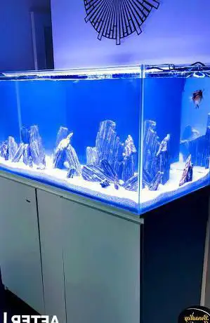 Photo de Broadley Aquatics Ltd