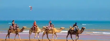 Photo de Morocco Travel Agency Marrakech - Best Morocco Tours Operator