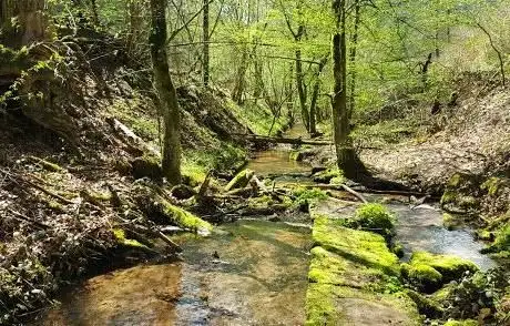 Photo de Breitenbach