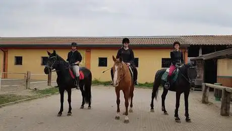 Photo de Centro Equestre Le Stelle A.S.D.