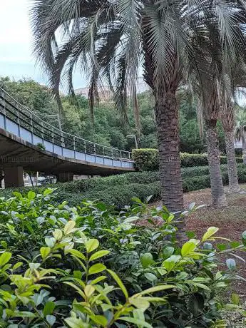 Photo de Jardins de Tecla Sala