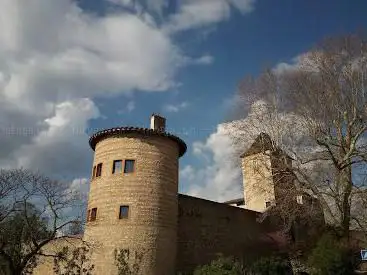 Photo de Château de Saint Bernard