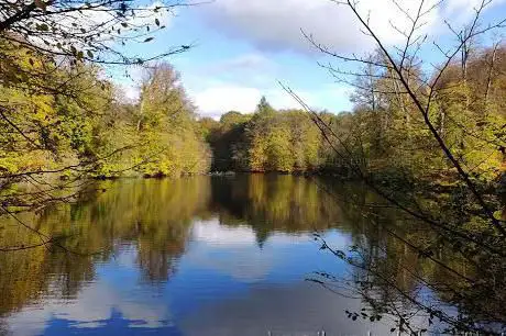Photo de Forêt de Soignes