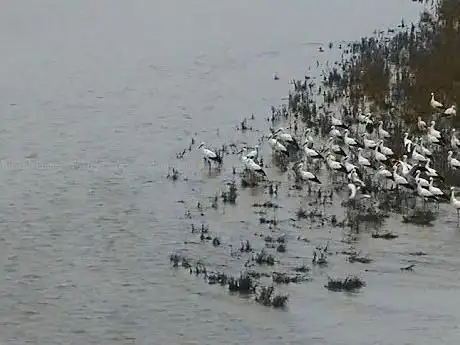 Photo de Mirador de aves