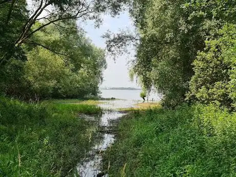 Photo de Hanningfield Reservoir