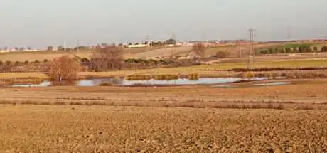 Photo de Gran Laguna estacional