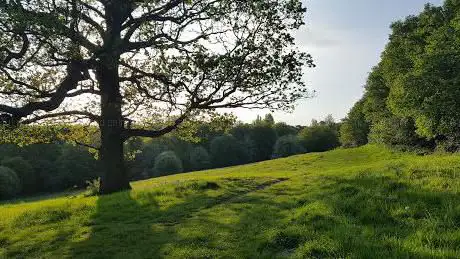 Photo de Mill Meadows Billericay