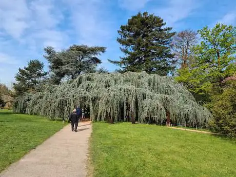 Photo de Arboretum of the Valley of Wolves