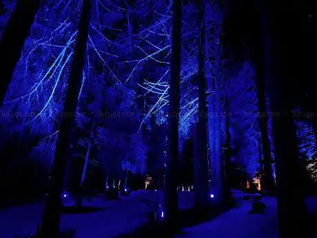 Photo de Alta Lumina