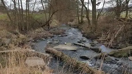 Photo de Grether Wasserfall