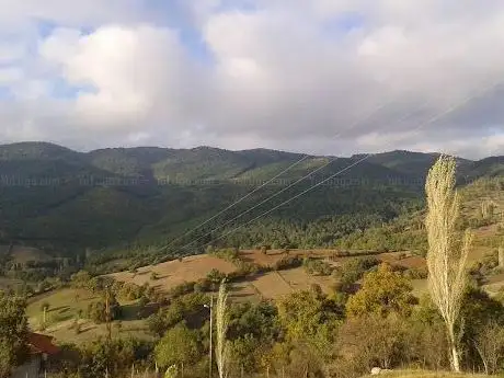 Photo de Balikesir Sarraf and Jewelers Association. Memorial Forest