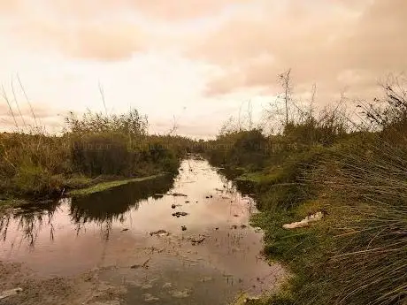 Photo de LAC DAYAT DAR BOUAZZA