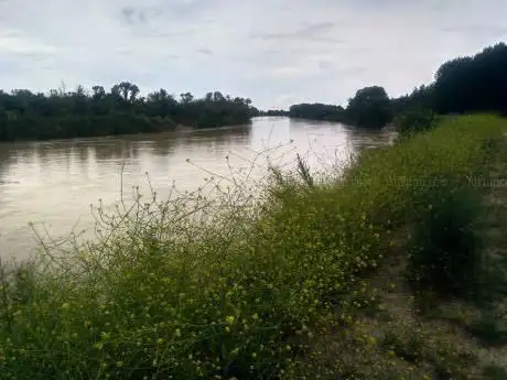 Photo de MURILLO DE LAS LIMAS