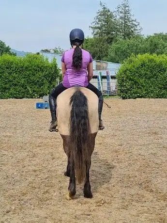 Photo de Whitewell Equestrian