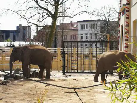 Photo de Zoo d'Anvers