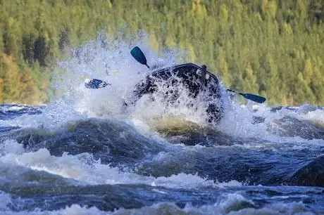 Photo de Forsknäckarna