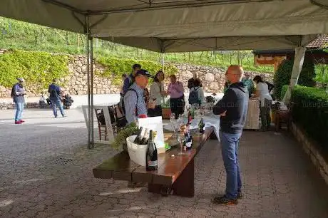 Photo de Strada del Vino e dei Sapori del Trentino