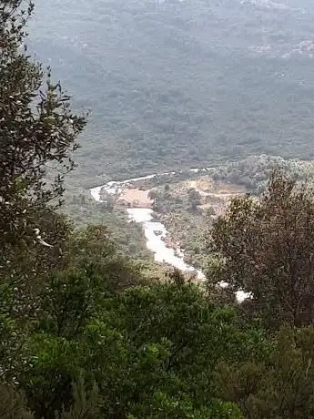 Photo de Foresta di Monte Olia