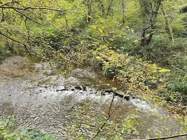 Photo de The Knapp And Papermill Nature Reserve