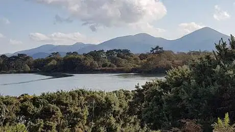 National Trust - Murlough National Nature Reserve