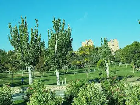 Photo de Parque del Ché Guevara