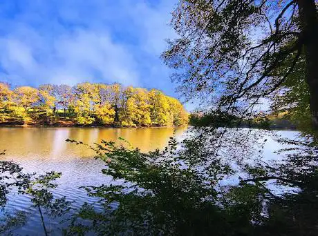 Photo de Lacs de Morimond