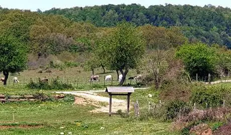Photo de Cutini La Tagliata