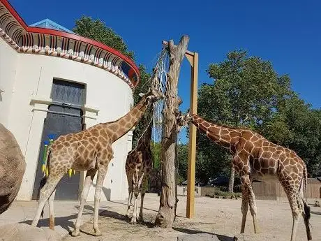 Photo of Zoo d'Anvers