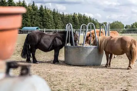 Photo de Merry Legs Ranch