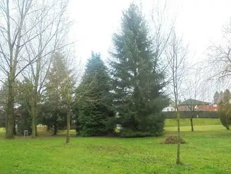 Photo de Park "Zur alten Schmiede"