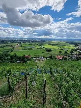 Photo de Rysselkuppe