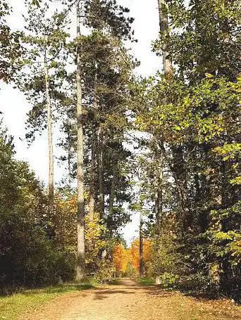Photo de Ludres Natural Park