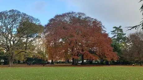 Palmerston Park Playground