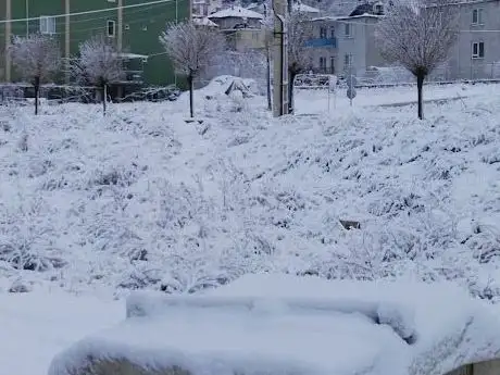Photo de Football Field