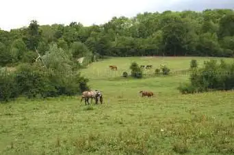 Photo de School Riding De La Forêt
