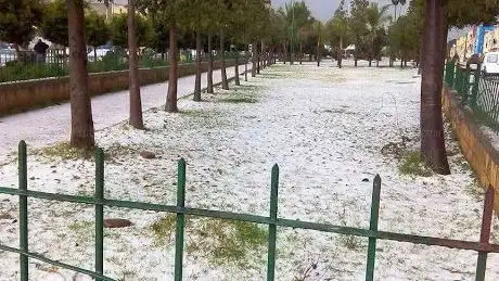 Photo de حديقة الامم
