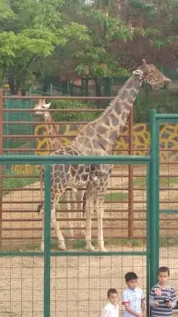 Photo de Şahinbey Belediyesi 3 Nolu Dinlenme Parkı