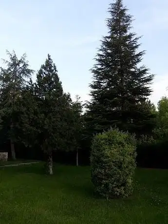 Photo de Park