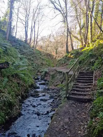 National Trust Lisnabreeny Cregagh Glen
