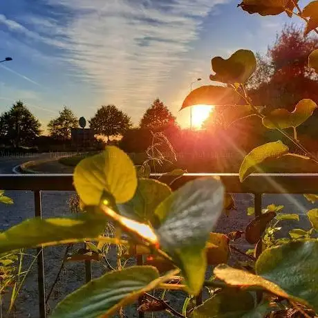 Photo de Charlesland Playground